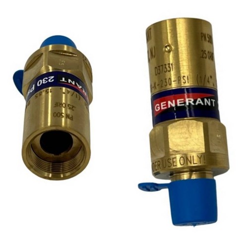 RELIEF VALVE, 1/4"