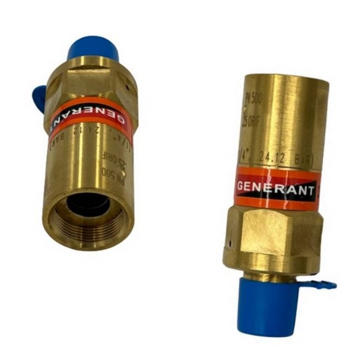 RELIEF VALVE, 1/4"