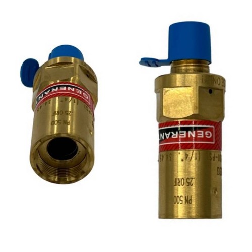 RELIEF VALVE, 1/4"