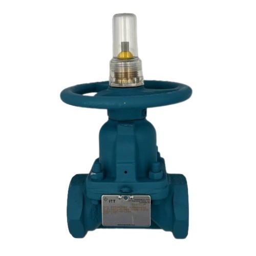 EVACUATION VALVE, 1 1/2" FNPT, CAST IRON